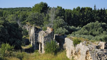 Aqueduc de Barbegal à Fontvieille vue du dessus. (BRINGARD DENIS / HEMIS.FR / AFP)