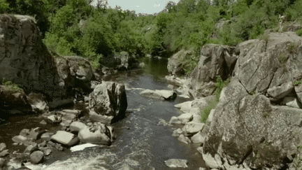 Tourisme : canoë, kayak, hydrospeed... L'aventure dans la nature préservée de Lathus-St-Remy (France 3)