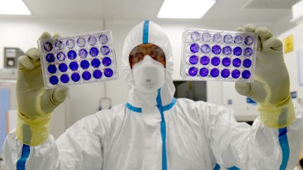 Le virologue Thomas Mollet manipulent des cellules infectées par le Covid-19, dans un laboratoire du groupe&nbsp;Valneva, à Saint-Herblain (Loire-Atlantique), le 30 juillet 2020. (JEAN-FRANCOIS MONIER / AFP)