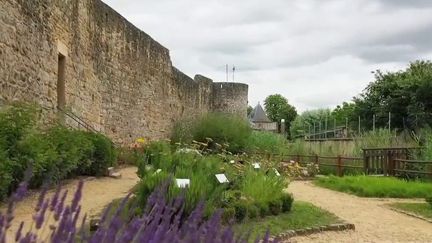 Chemins de traverse : plongée au coeur de Rodemack, trésor lorrain&nbsp; (France 2)