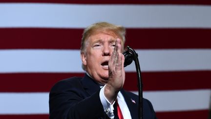 Le président américain Donald Trump lors d'un meeting à Mesa en Arizona, le 19 octobre 2018. (NICHOLAS KAMM / AFP)