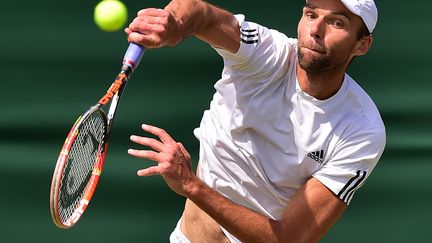 Ivo Karlovic dans son exercice préféré (LEON NEAL / AFP)