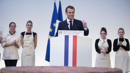 Emmanuel Macron, le 11 janvier 2019 au palais de l'Elysée. (IAN LANGSDON / AFP)