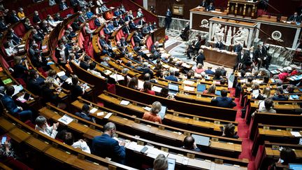 L'hémicycle de l'Assemblée nationale, lors des questions au gouvernement, le 28 juillet 2020. (XOS? BOUZAS / HANS LUCAS / AFP)