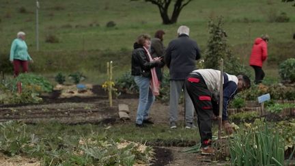 Une association propose d'accompagner les personnes touchées par les maladies chroniques en utilisant le jardin comme support thérapeutique. (France 2)