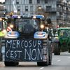 Des agriculteurs manifestent contre la signature de l'accord commercial entre l'Union européenne et le Mercosur, à Strasbourg, le 18 novembre 2024. (FREDERICK FLORIN / AFP)