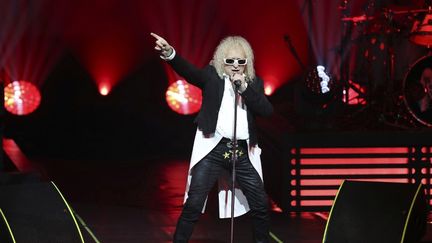 Michel Polnareff lors d'un concert à Nice (Alpes-Maritimes), le 8 novembre 2016. (VALERY HACHE / AFP)