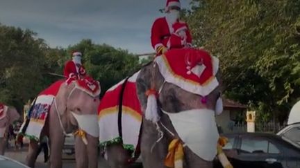 6media_ELEPHANTS_NOEL_V2