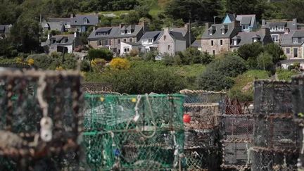 Élections européennes 2024 : le Rassemblement national progresse en Bretagne (France 2)