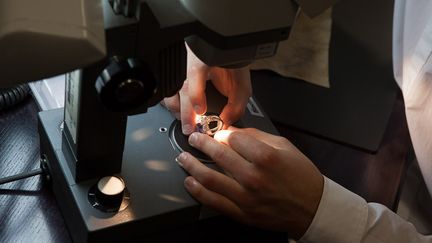 Un gemmologue au Laboratoire Français de Gemmologie, 2021&nbsp; (LFG)