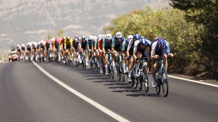 DIRECT. Vuelta 2024 : 26 coureurs dont David Gaudu à l'avant de la course...Suivez la 9e étape