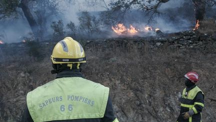 Les pompiers confrontés à un incendie de forêt à Cerbère (Pyrénées-Orientales), le 16 avril 2023. (IDHIR BAHA / HANS LUCAS / AFP)