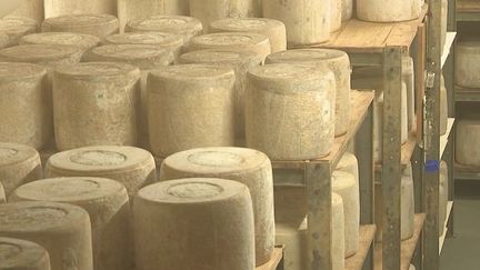 Sur les plateaux de l'Aubrac, on produit depuis plusieurs siècles le fromage Laguiole, dont le goût diffère en fonction de son affinage.&nbsp;Quels sont les secrets des étapes de fabrication ? (CAPTURE ECRAN FRANCE 2)