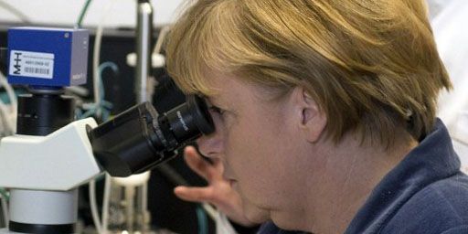 La chancelier allemand, Angela Merkel, examine des cellules souche dans un microscope dans un établissement médical de Hanovre le 27 novembre 2012. (AFP - NIGEL TREBLIN)