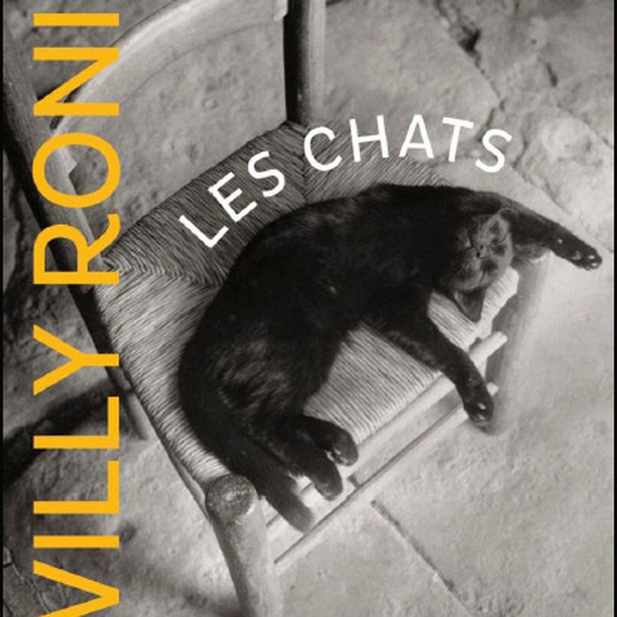 Willy Ronis Et Les Chats Un Compagnonnage Photographique