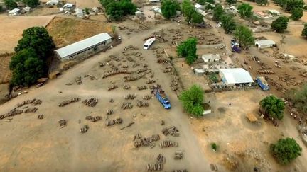 Capture d'écran des images tournées par un drone au-dessus de la Casamance&nbsp;(Sénégal), en mai 2016. (OCEANIUM SENEGAL  / YOUTUBE)