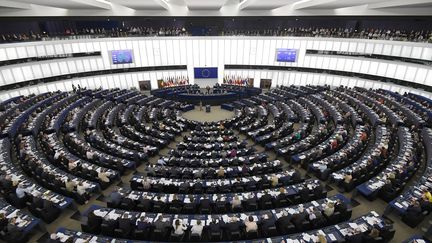 Parlement : qui sont les 74 eurodéputés français ?