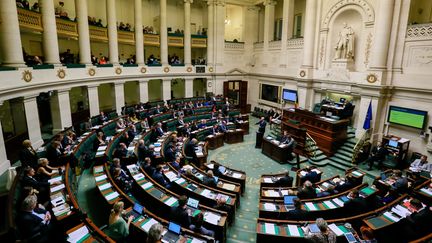 Une séance plénière&nbsp;au Parlement fédéral belge, à Bruxelles, le 17 janvier 2019. Photo d'illustration. (STEPHANIE LECOCQ / EPA)