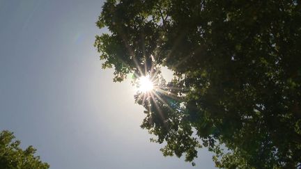 Le soleil apporte de fortes chaleurs (France Info)