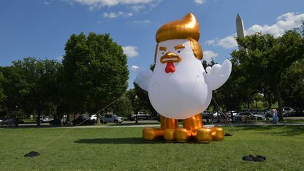 Un poulet gonflable devant la Maison Blanche