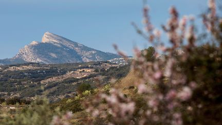 La montagne de Penyagolosa, connue sous le nom de “Géant de pierre” a été rachetée par le gouvernement régional, en 2019. (DOMENECH CASTELLO / EFE)