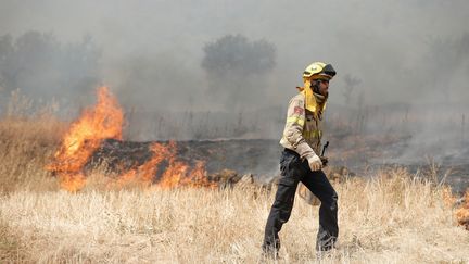 Incendies : des millions d'hectares partis en fumée dans le cercle arctique