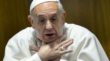 Le pape Fran&ccedil;ois surpris en pleine pantomime lors d'une discussion avec un cardinal au Vatican, le 12 f&eacute;vrier 2015. (ANDREAS SOLARO / AFP)