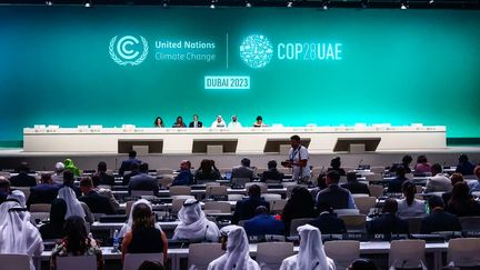 Des représentants assistant à la COP28 à Dubaï (Emirats arabes unis), le 1er décembre 2023. (BEATA ZAWRZEL / NURPHOTO)