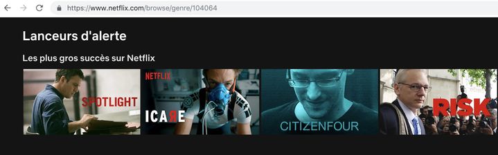 Les contenus référencés avec le mot-clé "Lanceurs d'alerte" sur Netflix. (NETFLIX)