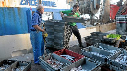 Poisson : pourquoi la production française est en panne