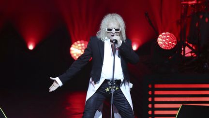 Michel Polnareff lors de son concert à Nice, le 8 novembre. (VALERY HACHE / AFP)