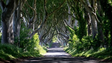 En Irlande du Nord, les fans de "Game of Thrones" marchent sur les traces de leurs héros