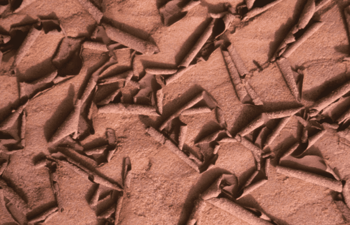 Terre desséchée dans la région de Niamey, en 2006, lors de l’arrivée tardive de la saison des pluies.  (Thierry Lebel/IRD)