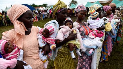 Dans plusieurs communautés ancestrales de par le monde, l'igname sauvage est réputée pour avoir des composants d’œstrogènes et est parfois utilisée dans des traitements gynécologiques traditionnels pour favoriser la fertilité. Mais les experts, de leur côté, sont sceptiques, et affirment qu'il n'y a pas de lien prouvé entre le régime alimentaire et le taux de natalité, le même aliment étant d'ailleurs consommé également dans toute l'Afrique de l'Ouest. (PIUS UTOMI EKPEI / AFP)