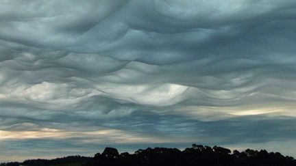 Les asperatus  figurent désormais dans le prestigieux "Atlas international des nuages", après un lobbying intense de curieux amateurs. (WMO)