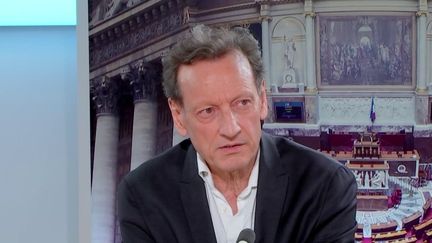 Législatives 2024 : "Paris est un îlot de La France insoumise", juge le journaliste Denis Demonpion (Franceinfo)