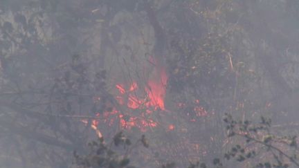 Incendies à Graveson : le feu fixé mais pas encore maîtrisé