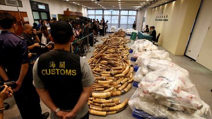 Des douaniers chinois montrent à la presse plusieurs tonnes d'ivoire saisies à Hong Kong le 6 juillet 2017. (Photo Reuters/Bobby Yip)