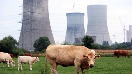 Elevage en Allemagne sur fond de centrale nucléaire. En 10 ans, l'agriculture allemande a fortement progressé. (PATRIK STOLLARZ / AFP)