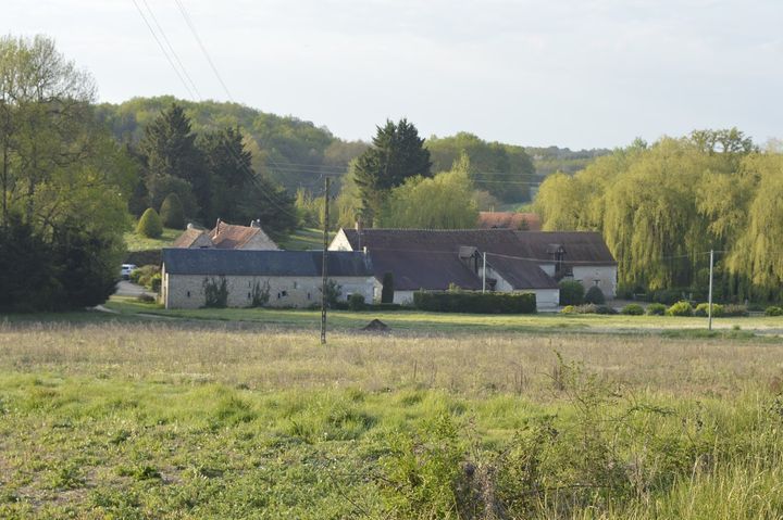 Agroforesterie au milieu des vignes en Indre-et-Loire pour réintégrer l'arbre au sein des exploitations viticoles. Michel, vigneron, et son père retraité, veulent planter 881 arbres fruiters dont 477 financés par les donateurs de A Tree for You (A TREE FOR YOU)