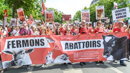 &nbsp;Des manisfestants demandent la fermeture des abattoirs lors d'une marche à Paris le 13 juin 2015. (CITIZENSIDE/SAMUEL BOIVIN / CITIZENSIDE.COM)