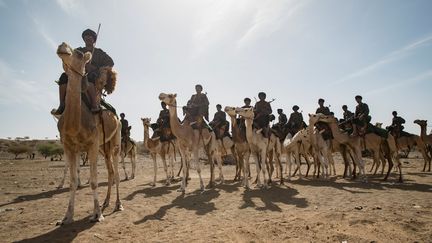 Les méharistes&nbsp;du Groupement nomade de la garde nationale mauritanienne (THOMAS SAMSON / AFP)