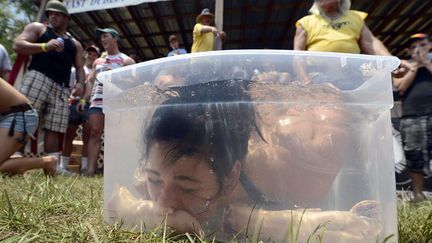 Aller r&eacute;cup&eacute;rer des pieds de cochon dans une bassine d'eau, une des nombreuses activit&eacute;s propos&eacute;e aux Summer Redneck Games &agrave; East Dublin (Georgie, Etats-Unis), le 26 mai 2012. (ERIK S. LESSER / MAXPPP)