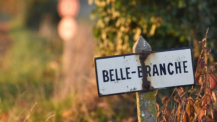 La&nbsp;Forêt de Bellebranche, en Mayenne. Photo d'illustration. (THOMAS BR?GARDIS / OUEST-FRANCE / MAXPPP)