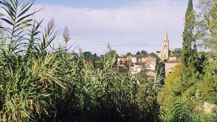 Le village de Meilhan-sur-Garonne (Lot-et-Garonne), le 15 février 2008. (BRUNO BARBIER / AFP)