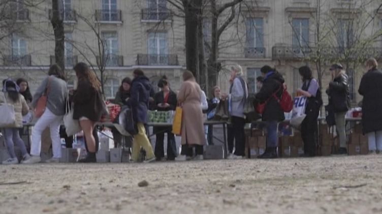 Précarité : un étudiant sur deux ne mangerait pas à sa faim