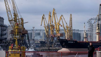 Des bateaux dans le terminal céréalier du port d'Odessa, le 10 avril 2023. (BO AMSTRUP / RITZAU SCANPIX / AFP)