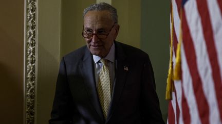 Chuck Schumer à Washington (Etats-Unis), le 14 juin 2022. (ANNA MONEYMAKER / GETTY IMAGES NORTH AMERICA / AFP)