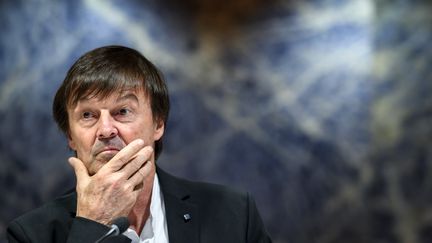 Nicolas Hulot, lors d'une conférence des Nations unies, à Genève (Suisse), le 30 novembre 2017.&nbsp; (FABRICE COFFRINI / AFP)