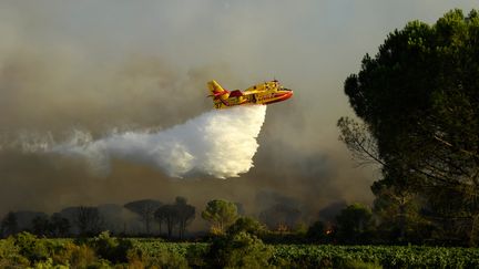 Photo d'illustration : un avion Canadair CL 415 largue de l'eau, lors d'un incendie dans le Var le 17 août 2021. (NICOLAS TUCAT / AFP)